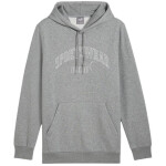 Mikina Puma Ess+ Logo LAB Gradient Hoodie FL 681775 03 pánské