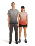 Pánské merino triko s krátkým rukávem ICEBREAKER Mens 125 Cool-Lite Sphere SS Tee Alta, Metro Hthr velikost: M