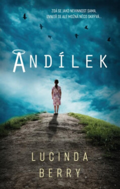 Andílek - Lucinda Berry