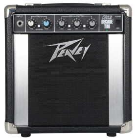 Peavey Joshua Homme Decade Too Combo