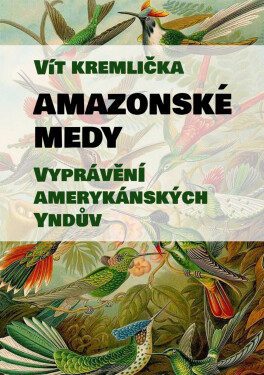 Amazonské Medy - Vyprávění amerykánských Yndův - Vít Kremlička