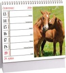 Stolní kalendář ARIA 2026 MINI - Koně