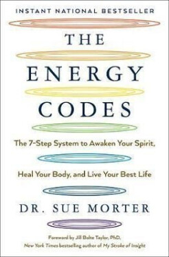 The Energy Codes : The 7-Step System to Awaken Your Spirit, Heal Your Body, and Live Your Best Life - Sue Morter