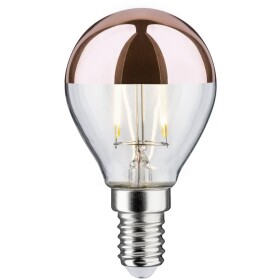 Paulmann 28665 LED Energetická třída (EEK2021) G (A - G) E14 kapkový tvar 2.6 W = 22 W teplá bílá (Ø x v) 45 mm x 78 mm 1 ks