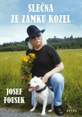 Slečna ze zámku Kozel (poškozená) - Josef Fousek