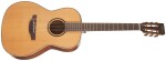 Takamine P3NY