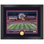 Obraz New England Patriots NFL Team Stadium Bronze Coin