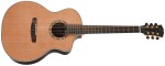 Dowina Cabernet GACE EAS-VTC