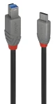 Lindy USB-C - USB-B 0,5 m černá / Kabel / USB 3.2 Gen 1 (36665)