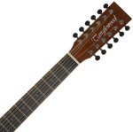 Tanglewood TRX412CE