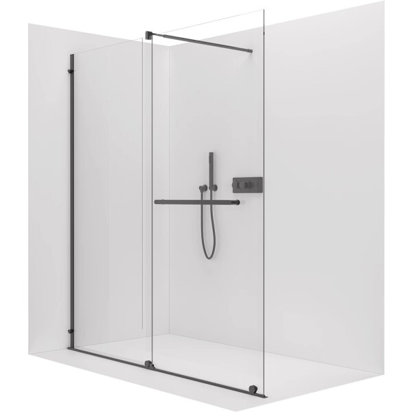 CERANO Sprchová zástěna Walk-in Medin L/P - 8 mm - černá matná, transparentní sklo - 120x195 cm - dvoudílná posuvná