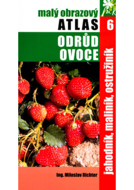 Jahodník, maliník, ostružiník