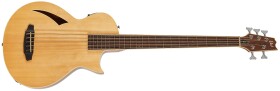 ESP LTD TL-5 NAT