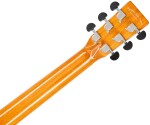 Tanglewood TRX2E