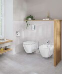 GROHE - Euro Ceramic Závěsný bidet, otvor pro baterii, alpská bílá 102487SH00