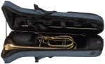 Arnolds & Sons ASL-6118
