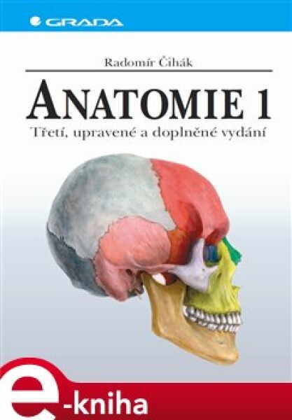 Anatomie