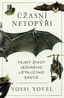 Úžasní netopýři - Yossi Yovel