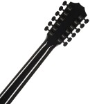 Taylor 250ce-BLK Plus