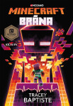 Minecraft - Brána - Tracey Baptiste