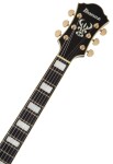 Ibanez AF95FM Antique Yellow Burst