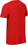 Pánské tričko Regatta RMT263-E6S červené Červená