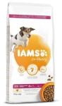 IAMS Senior Small Medium Chicken 12kg / Granule pro psy / malá a střední plemena / kuřecí (1754-128412)
