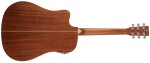 Tanglewood TP5 SE