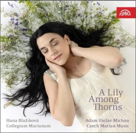 Mariánská muzika - CD - Hana Blažíková