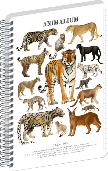 Spirálový blok Animalium - Kočkovité šelmy, čtverečkovaný, A5