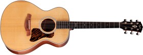 Taylor Gold Label 512e