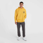 O'Neill Future Surf Society Hoodie 92800613450