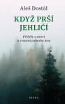 Když prší jehličí (poškozené) - Aleš Dostál