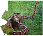 Just Jigsaws 644 Had a jeho životní cyklus - dřevěné vrstvené puzzle