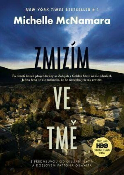 Zmizím ve tmě (poškozená) - Michelle McNamara