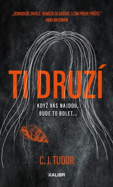 Ti druzí - C. J. Tudorová