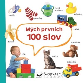 Mých prvních 100 slov