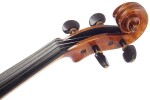 Vienna Violin Violine Carpathia 4/4