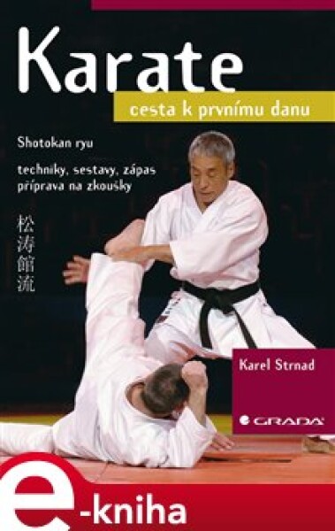 Karate. cesta k prvnímu danu - Karel Strnad e-kniha