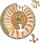 CURIOSI Kulaté puzzle Picoli: Šnek