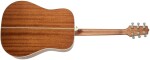 Takamine GD20-NS