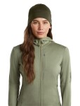 Unisex merino čepice ICEBREAKER Unisex Merino 260 Quantum Beanie, Dark Loden