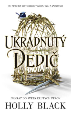 Ukradnutý dedič - Holly Black