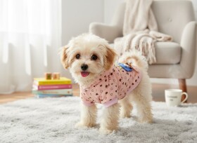 Sweet růžová bunda pro psa se srdíčky Barva: Růžová, Délka zad (cm): 25, Obvod hrudníku: 40 - 44 cm