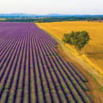 Nástěnný poznámkový kalendář 2026 NOTIQUE - Provence, 30 x 30 cm