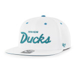 Anaheim Ducks Crosstown NHL