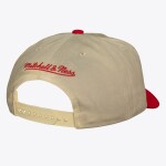 Mitchell & Ness Pánská kšiltovka Detroit Red Wings NHL Retro Roots Deadstock Vintage