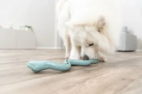 TRIXIE Snack-Snake had na pamlsky šalvějová 27 cm / TPR (TX-34931)