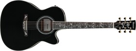 Ibanez AC391RCE Black Top