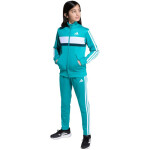 Tepláková souprava adidas Seasonal Essentials Tiberio 3-Stripes Tricot Jr JN2245 164 cm